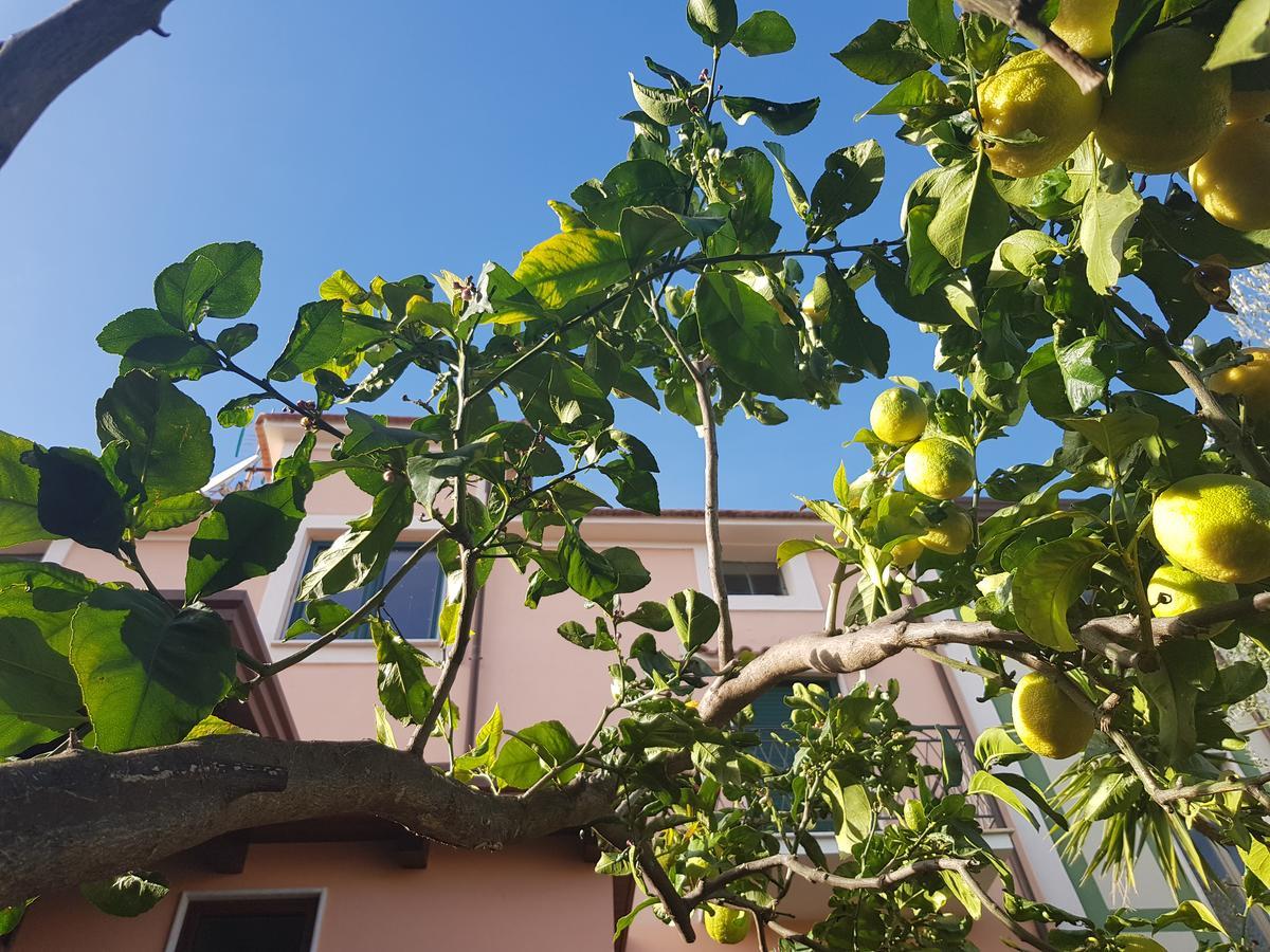 La Casa Di Paolo Casa Di Charme Hotel Marina di Camerota Exterior foto